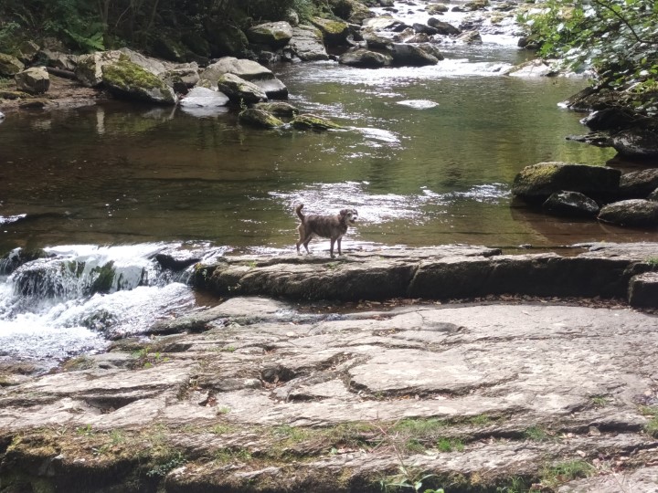 The River Lyn